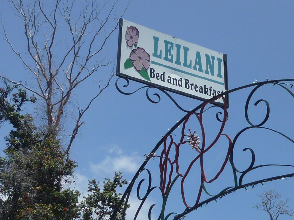 هاواي أوشن فيو Leilani Bed And Breakfast المظهر الخارجي الصورة